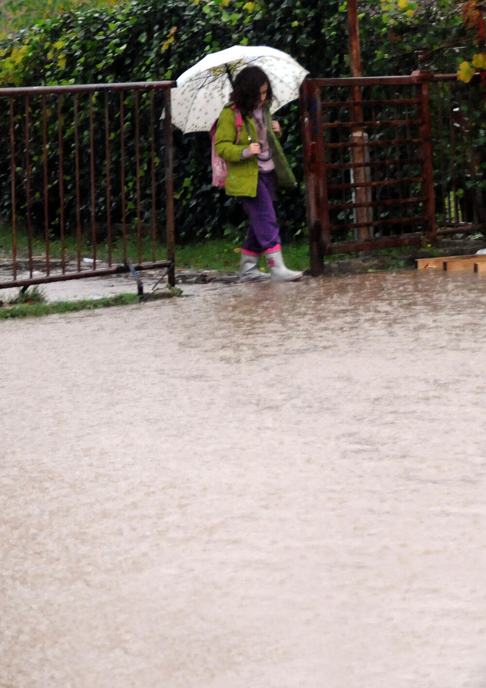 Podgorica poplave