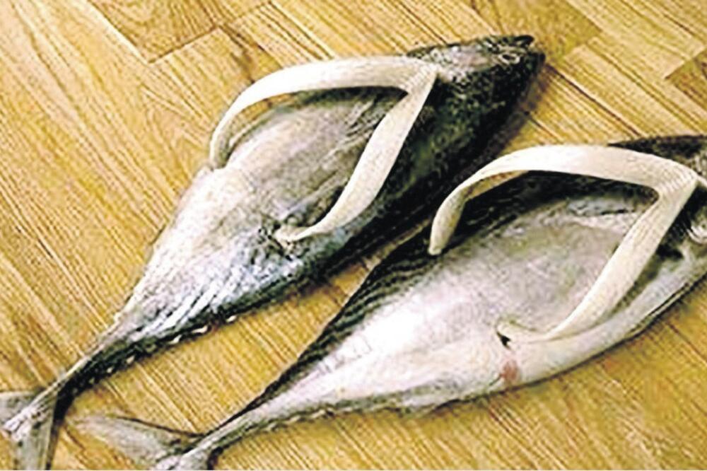 japanke Milan Mladenović, Foto: Kupujemprodajem.com