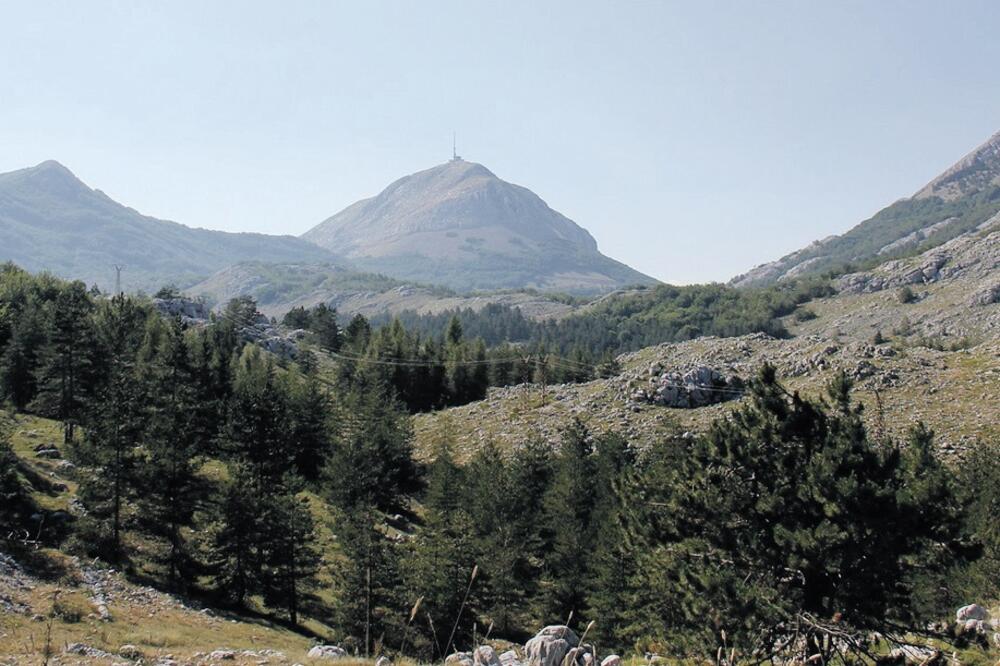 Babljak, Foto: Westcoastspeaks.com