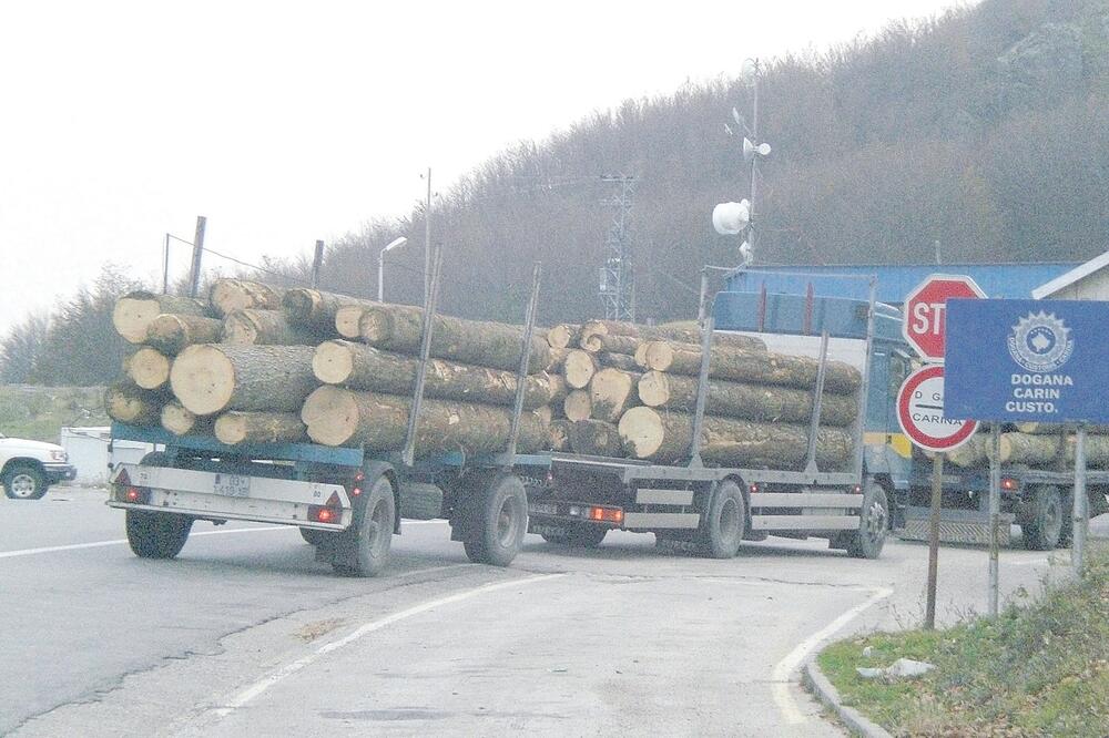 Šuma, građa, Foto: Aida Skorupan