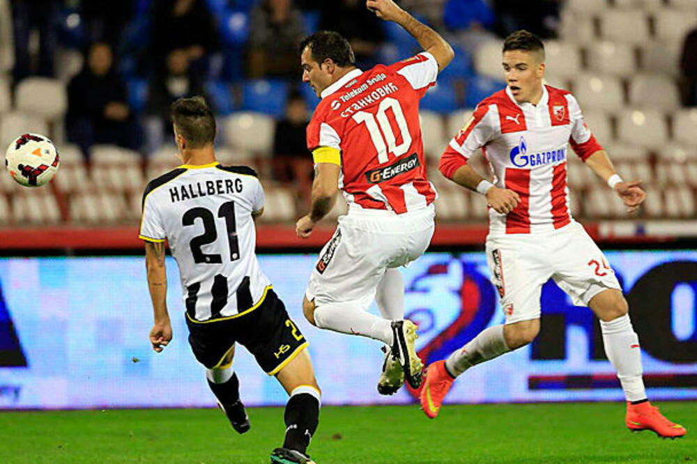 Dejan Stanković, Foto: Crvenazvezdafk.com