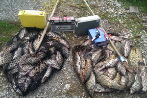 NP Skadarsko jezero: Četiri osobe zatečene u krivolovu