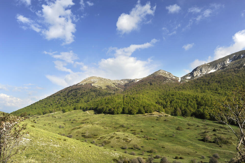 selo, planina, Foto: Shutterstock