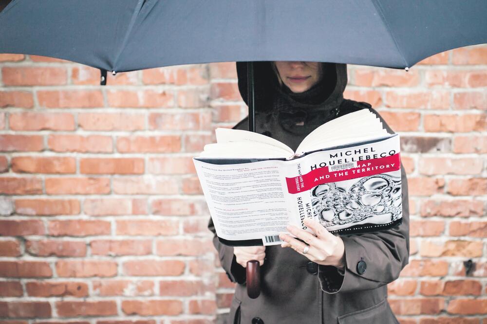 Mišel Uelbek (Novina)