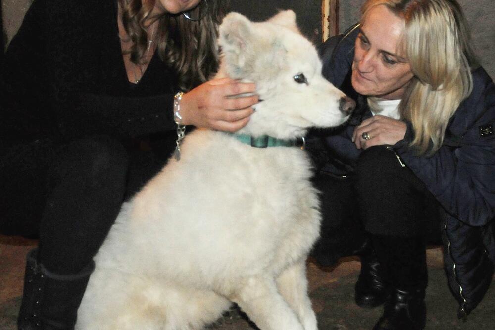 Ratka Tanjević, Belko, Ljiljana caričić, Foto: Zoran Đurić