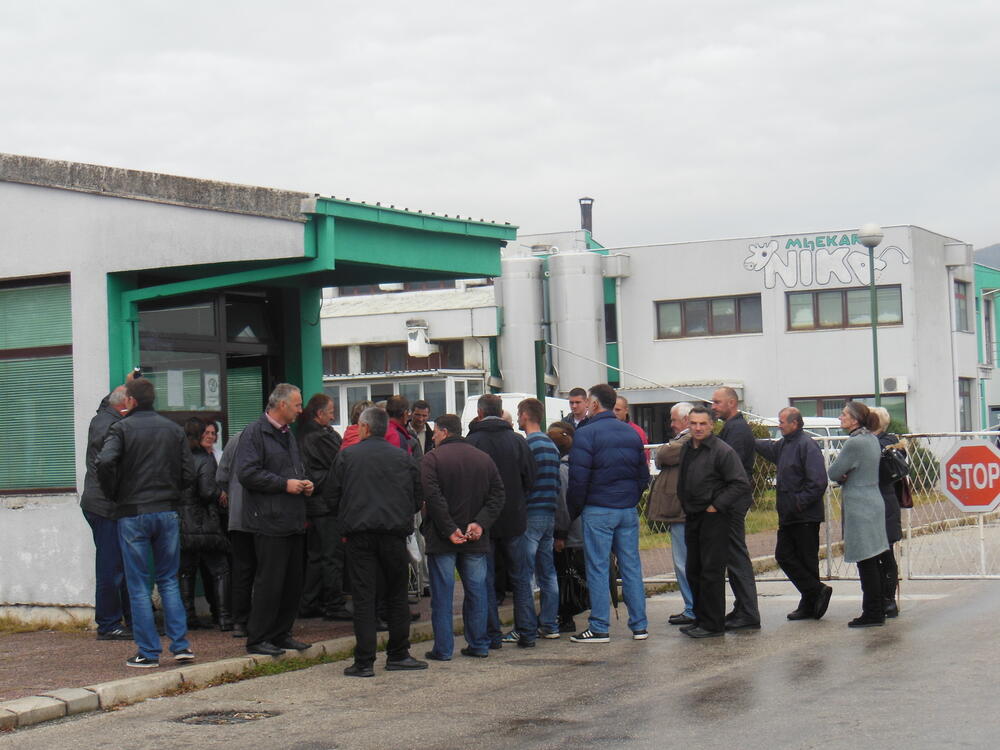 Nika kooperanti protest