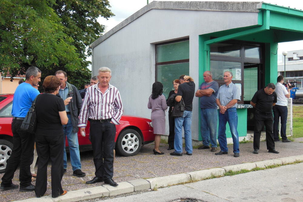 Nika, Foto: Ivan Petrušić