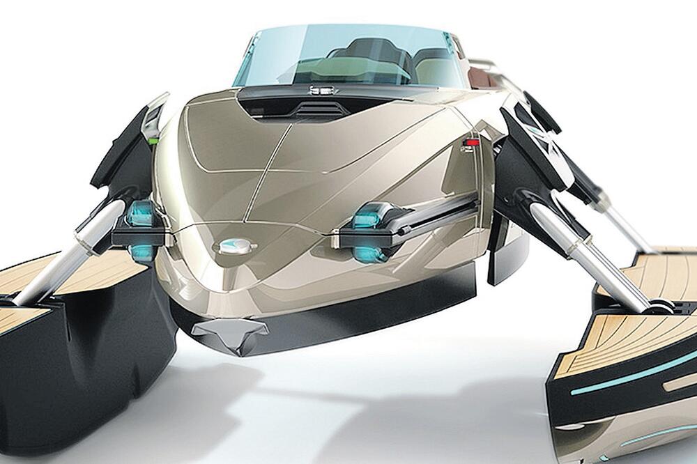 kormoran, Foto: Vijesti online