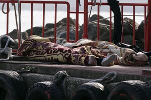Turska: Pronađena beživotna tijela 24 ilegalna migranta