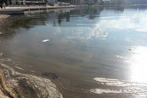Tivat: Mrlja prekrila more,  uzročnik se ne zna