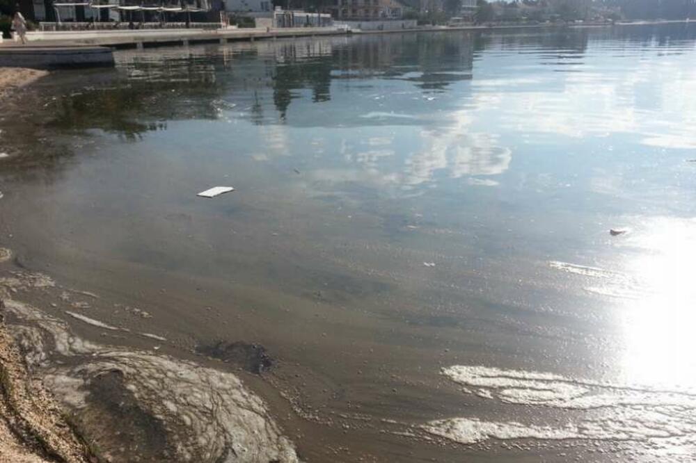 Tivat mrlja more, Foto: Siniša Luković