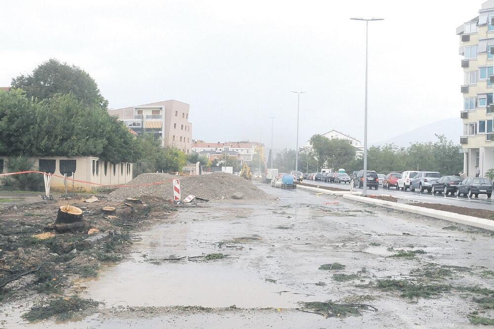 Sječa borova, Bulevar serdara Jola Piletića, Foto: Vesko Belojević