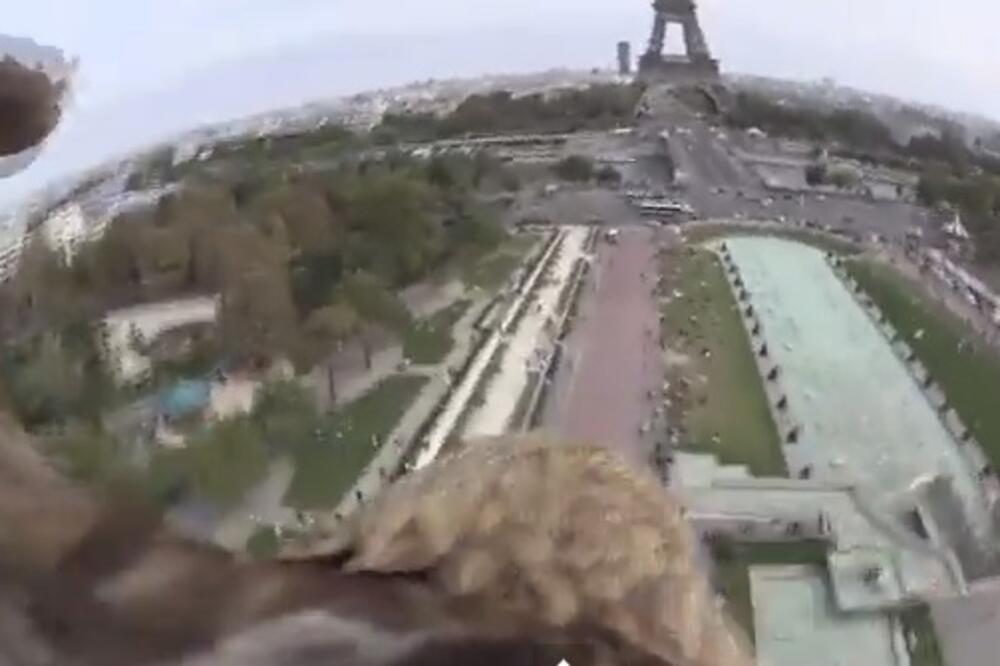 orao, Pariz, Foto: Screenshot (YouTube)