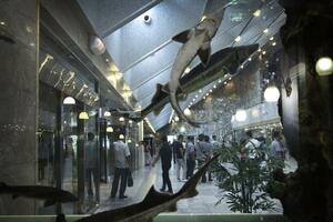 Sjeverna Koreja iznenada oslobodila jednog Amerikanca