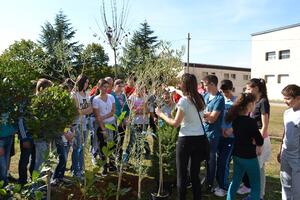 Podgorica: Nove sadnice u dvorištu škole "Radojica Perović"