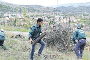 Sa brda Gorica uklonjeno preko 100 oštećenih stabala