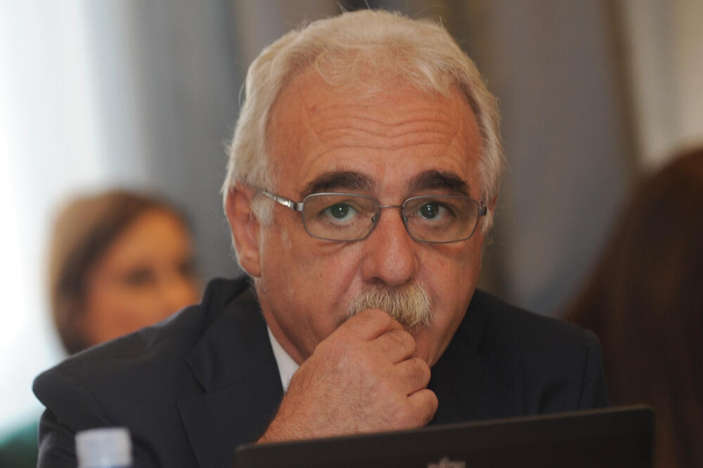 Stefano Pastori pred Odborom za ekonomiju, Foto: Savo Prelević