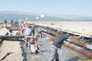 Stečajna uprava odustala od prodaje imovine Solane