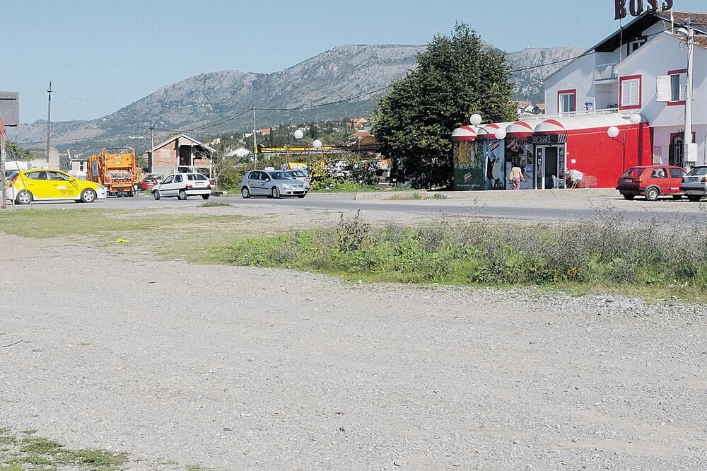 Konik, Foto: Luka Zeković