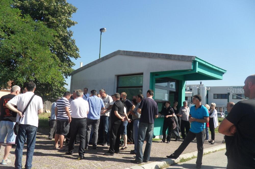 kooperanti Nika, Foto: Ivan Petrušić