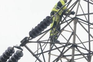 Žabljačka elektrodistribucija renovirala mrežu