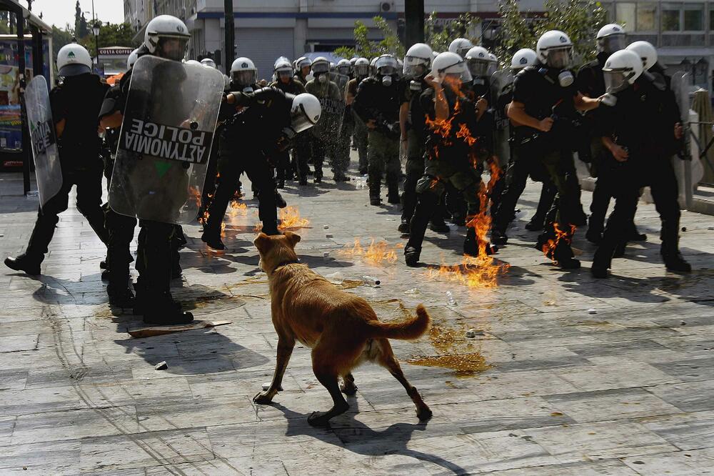 Lukanikos, Foto: Reuters
