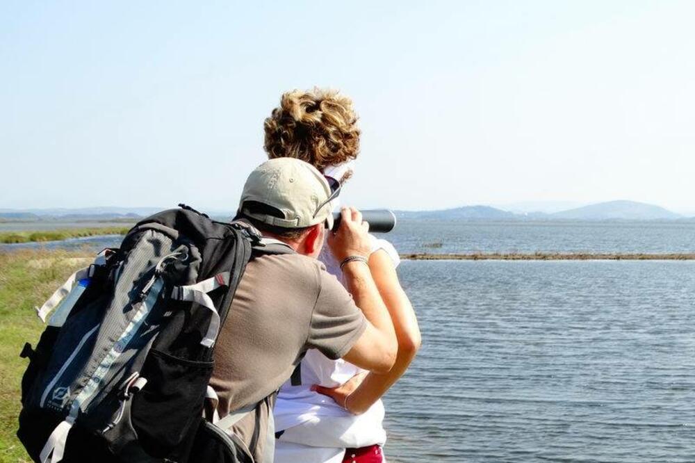 CZIP, posmatranje ptica, Foto: Facebook.com