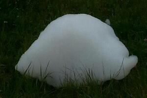 Pjena izazvala paniku među Pljevljacima: Kažu nije opasna, a niko...