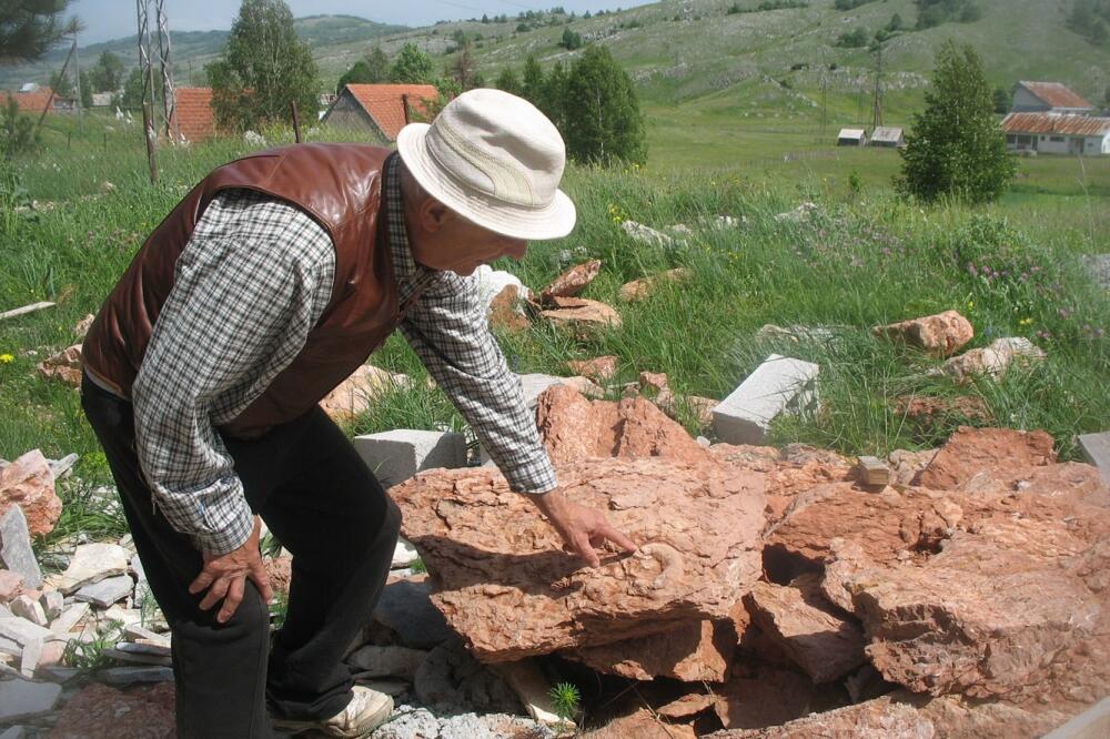 najveća košnica, Foto: Svetlana Mandić