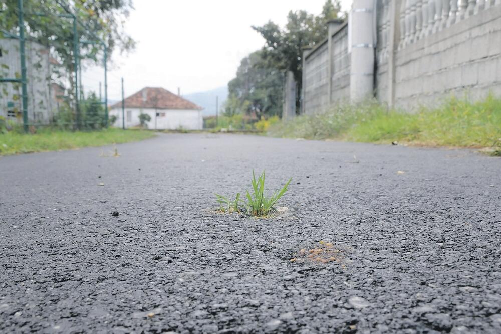 Trava - Vojvođanska ulica, Foto: Zoran Đurić