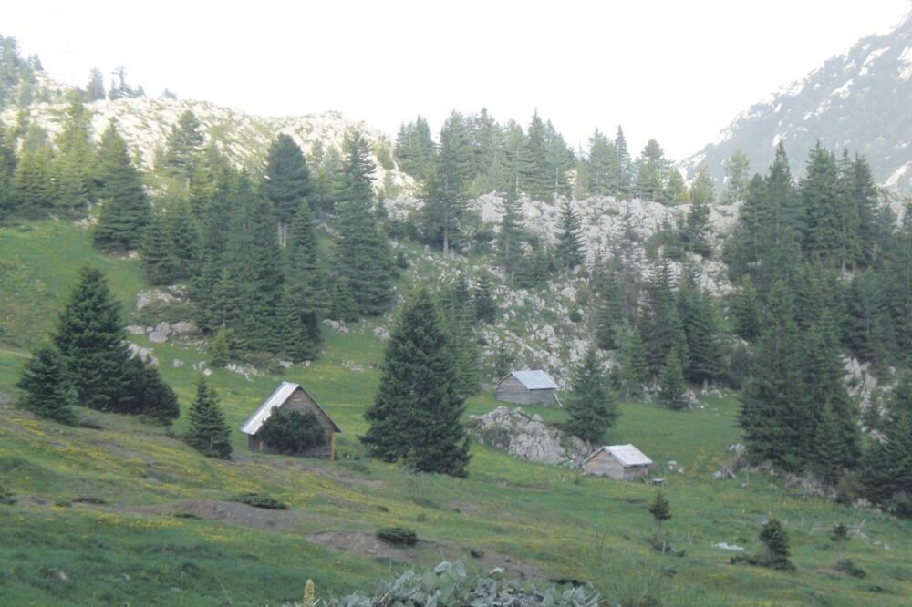 Katun u blizini prelaza Kula, Foto: Aida Sadiković