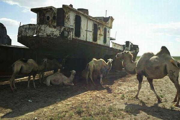 Niko ne mora to da spriječi