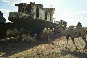 Niko ne mora to da spriječi