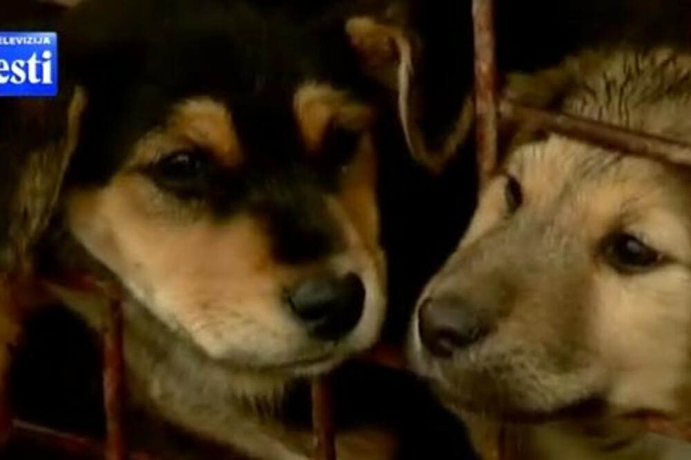 azi, Berane, Foto: Screenshot (YouTube)