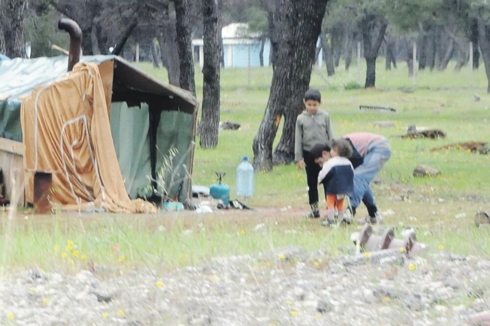 Romi, Konik, Foto: Vesko Belojević