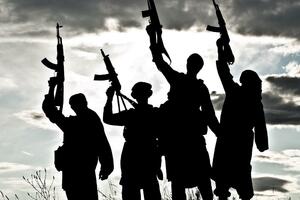 BS: Treba kazniti i one koji se bore u Ukrajini, a ne samo...