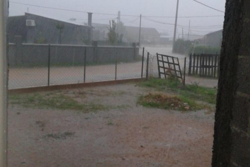 Konik kiša, Foto: Čitalac reporter