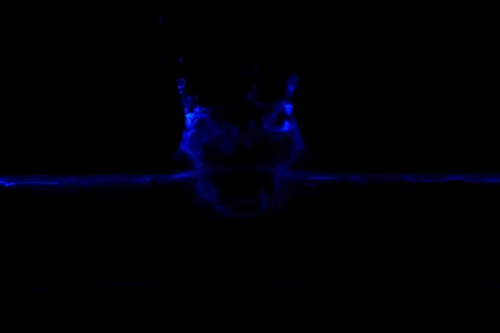 Život na zemlji, Foto: Screenshot