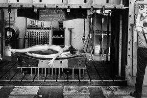 Helmut i najbolje od erotike