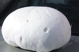 Ubrana pečurka od 4 kilograma