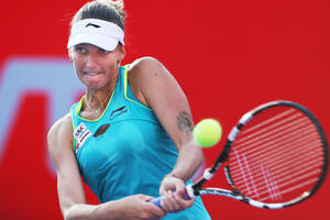 Pliškova i Lepčenko za titulu u Seulu