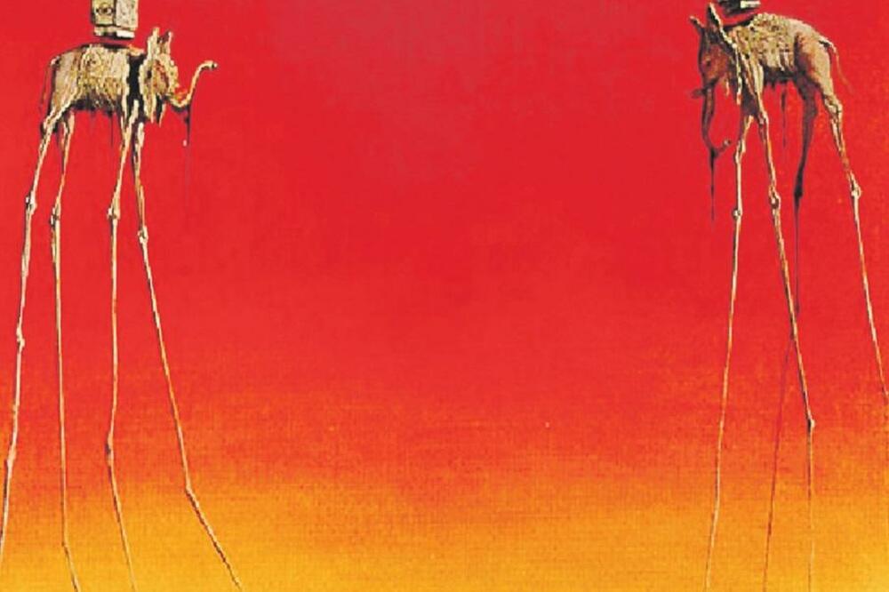 Salvador Dali Slonovi