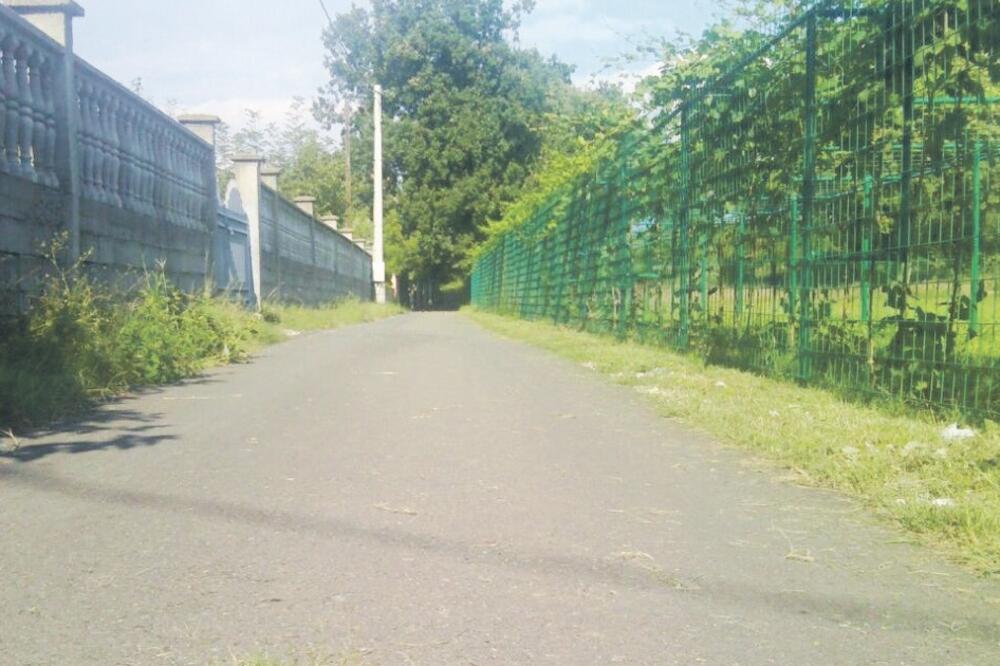 Gornja Gorica, trava nikla iz asfalta, Foto: Slavko Radulović