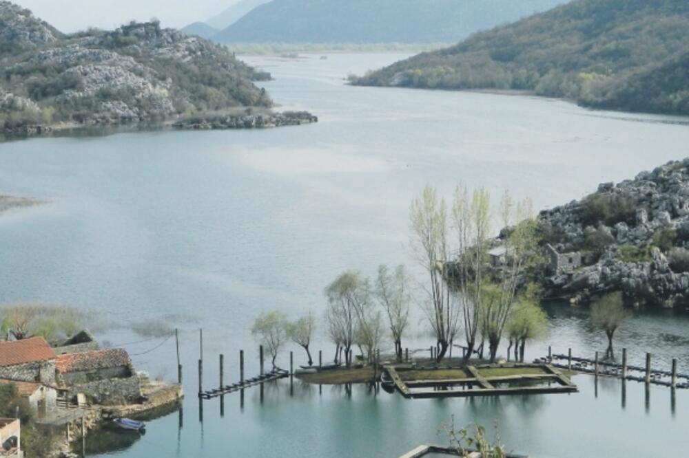 Karuč, Skadarsko jezero, Foto: Privatna arhiva