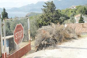 Skočiđevojka 15 ili 17 miliona