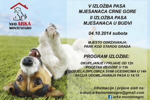 U Budvi će 4. oktobra biti organizovana Izložba pasa mješanaca