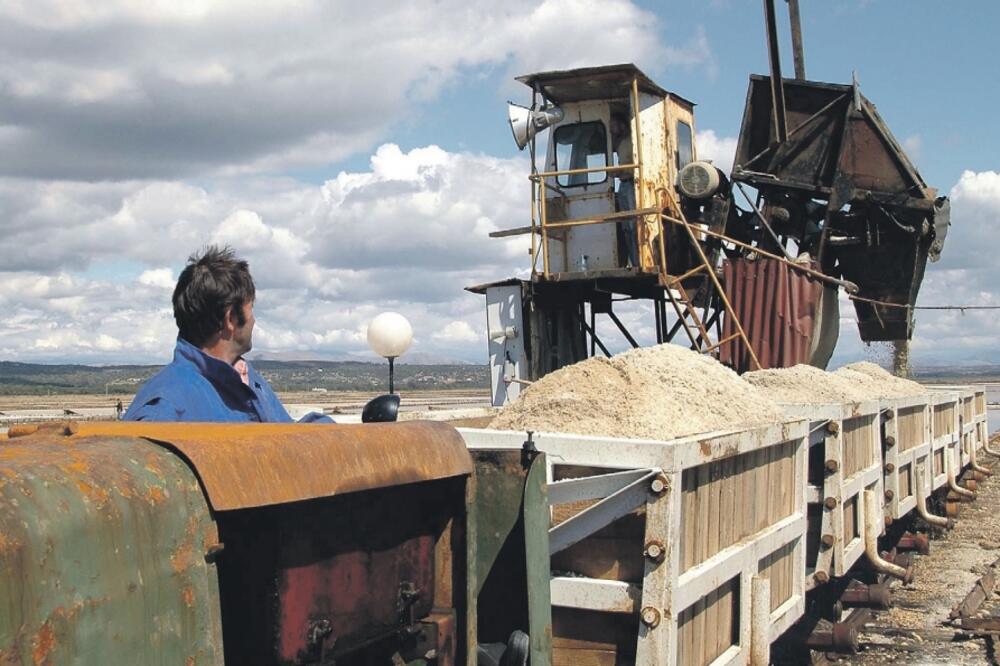 Solana Bajo Sekulić, Foto: Arhiva "Vijesti"