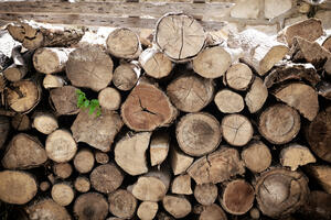 Zbog straha od  gasne krize, Poljaci kupuju drva za ogrijev