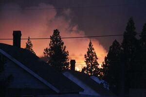 Kalifornija: Izgorele kuće u požaru
