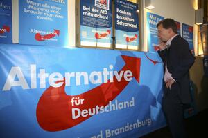 Pokrajinski izbori u Njemačkoj: Veliki uspjeh euroskeptika